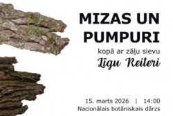 Tikšanās ar zāļu sievu Salaspilī Salaspils novada TIC